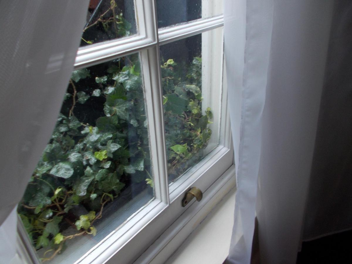 Double With Private Bathroom In Flat Centre Hospedagem domiciliar Londres